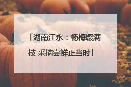 湖南江永：杨梅缀满枝 采摘尝鲜正当时