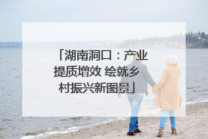 湖南洞口：产业提质增效 绘就乡村振兴新图景