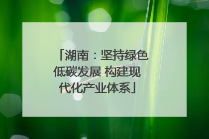 湖南：坚持绿色低碳发展 构建现代化产业体系