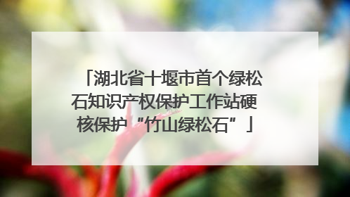 湖北省十堰市首个绿松石知识产权保护工作站硬核保护“竹山绿松石”