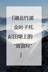 湖北竹溪：金叶子托起田埂上的“致富经”