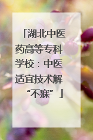 湖北中医药高等专科学校：中医适宜技术解“不寐”