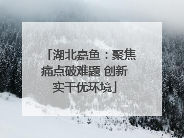 湖北嘉鱼：聚焦痛点破难题 创新实干优环境
