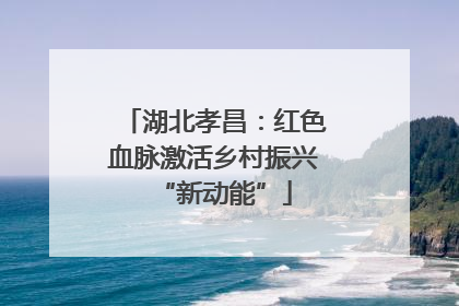 湖北孝昌：红色血脉激活乡村振兴“新动能”