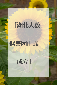 湖北大数据集团正式成立