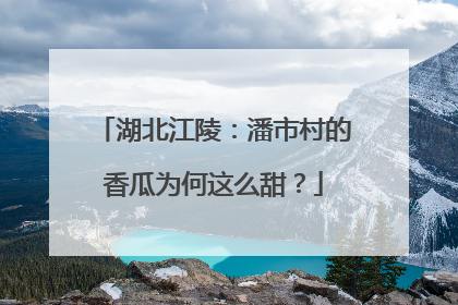 湖北江陵：潘市村的香瓜为何这么甜？