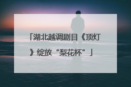 湖北越调剧目《顶灯》绽放“梨花杯”