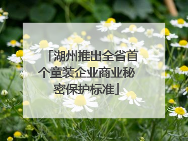 湖州推出全省首个童装企业商业秘密保护标准