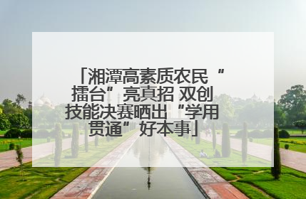 湘潭高素质农民“擂台”亮真招 双创技能决赛晒出“学用贯通”好本事