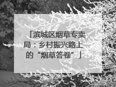 滨城区烟草专卖局：乡村振兴路上的“烟草答卷”