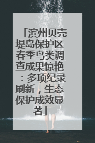 滨州贝壳堤岛保护区春季鸟类调查成果惊艳：多项纪录刷新，生态保护成效显著