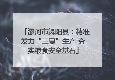 漯河市舞阳县：精准发力“三夏”生产 夯实粮食安全基石