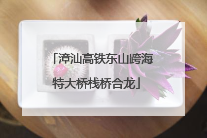 漳汕高铁东山跨海特大桥栈桥合龙