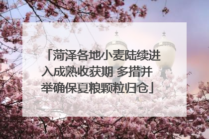 菏泽各地小麦陆续进入成熟收获期 多措并举确保夏粮颗粒归仓