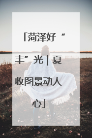 菏泽好“丰”光｜夏收图景动人心