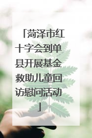 菏泽市红十字会到单县开展基金救助儿童回访慰问活动