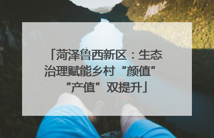 菏泽鲁西新区：生态治理赋能乡村“颜值”“产值”双提升