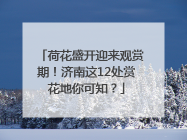 荷花盛开迎来观赏期！济南这12处赏花地你可知？