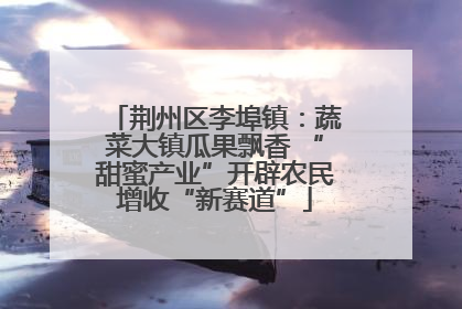 荆州区李埠镇：蔬菜大镇瓜果飘香 “甜蜜产业”开辟农民增收“新赛道”