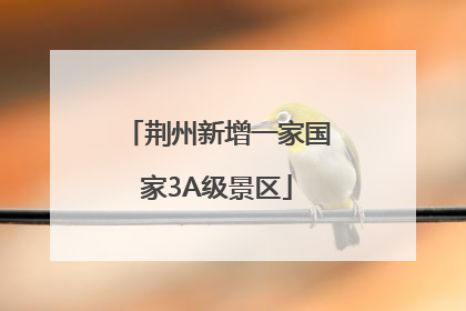 荆州新增一家国家3A级景区