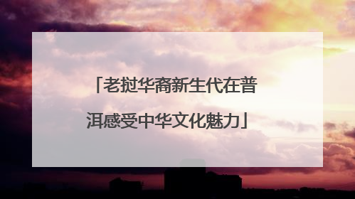 老挝华裔新生代在普洱感受中华文化魅力