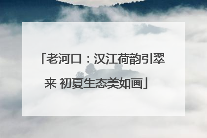 老河口：汉江荷韵引翠来 初夏生态美如画