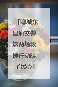 聊城东昌府交警这两场救援行动暖了民心