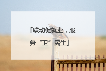 联动促就业，服务“卫”民生