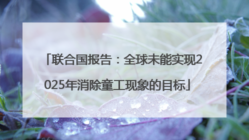 联合国报告：全球未能实现2025年消除童工现象的目标