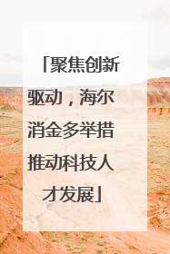 聚焦创新驱动，海尔消金多举措推动科技人才发展