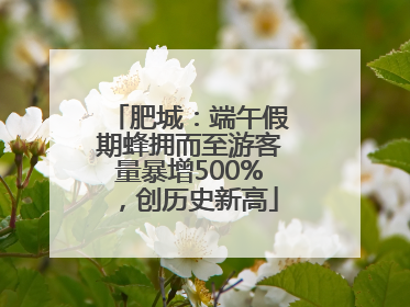 肥城：端午假期蜂拥而至游客量暴增500%，创历史新高