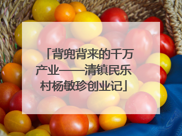 背兜背来的千万产业——清镇民乐村杨敏珍创业记
