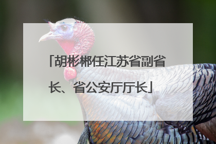 胡彬郴任江苏省副省长、省公安厅厅长