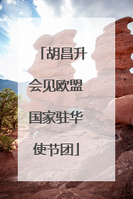 胡昌升会见欧盟国家驻华使节团