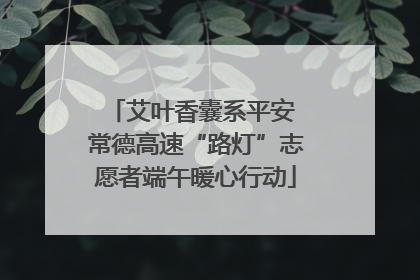 艾叶香囊系平安 常德高速“路灯”志愿者端午暖心行动