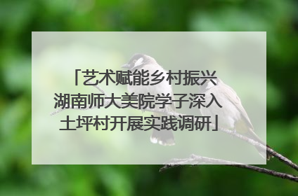 艺术赋能乡村振兴 湖南师大美院学子深入土坪村开展实践调研