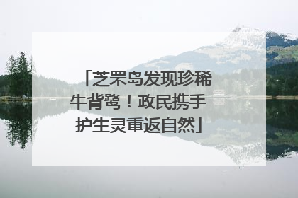 芝罘岛发现珍稀牛背鹭！政民携手护生灵重返自然