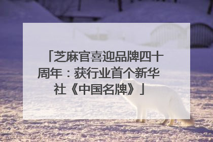 芝麻官喜迎品牌四十周年：获行业首个新华社《中国名牌》