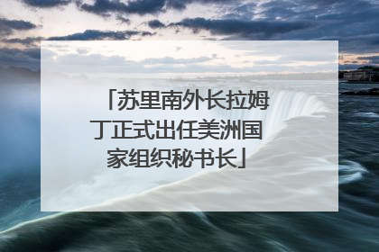 苏里南外长拉姆丁正式出任美洲国家组织秘书长