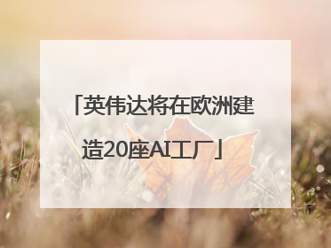 英伟达将在欧洲建造20座AI工厂