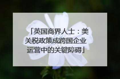 英国商界人士：美关税政策成跨国企业运营中的关键障碍