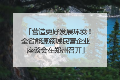 营造更好发展环境！全省能源领域民营企业座谈会在郑州召开