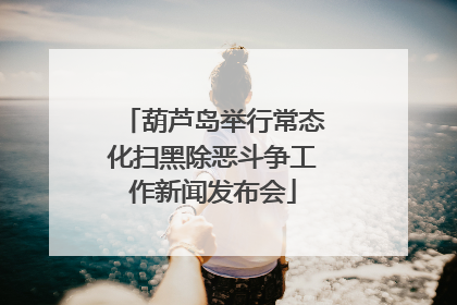 葫芦岛举行常态化扫黑除恶斗争工作新闻发布会