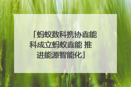 蚂蚁数科携协鑫能科成立蚂蚁鑫能 推进能源智能化