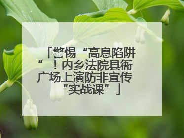 警惕“高息陷阱”！内乡法院县衙广场上演防非宣传“实战课”