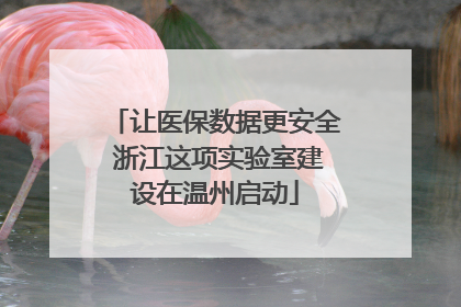 让医保数据更安全 浙江这项实验室建设在温州启动
