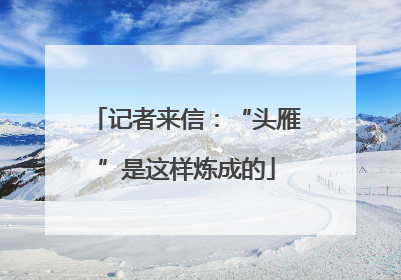 记者来信：“头雁”是这样炼成的