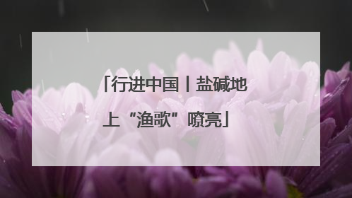 行进中国丨盐碱地上“渔歌”嘹亮