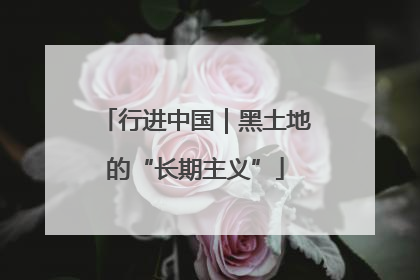 行进中国｜黑土地的“长期主义”