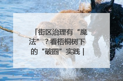街区治理有“魔法”？看梧桐树下的“破圈”实践｜我在街区当书记